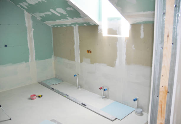 Best Attic Mold Removal  in Casas Adobes, AZ