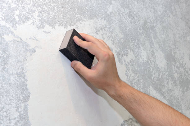 Best Mold Remediation for Rental Properties  in Casas Adobes, AZ