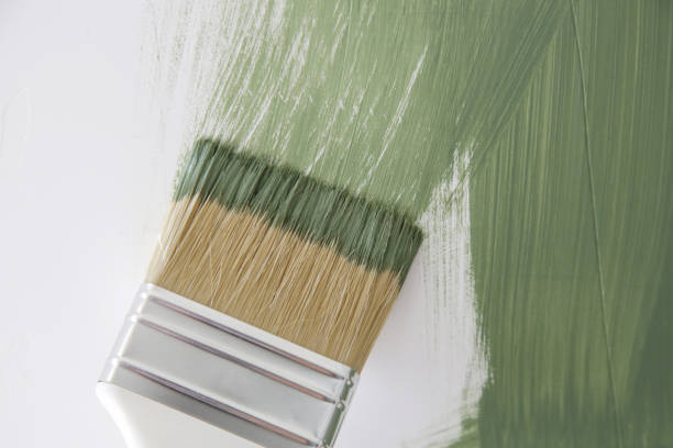 Best Mold Odor Removal Services  in Casas Adobes, AZ