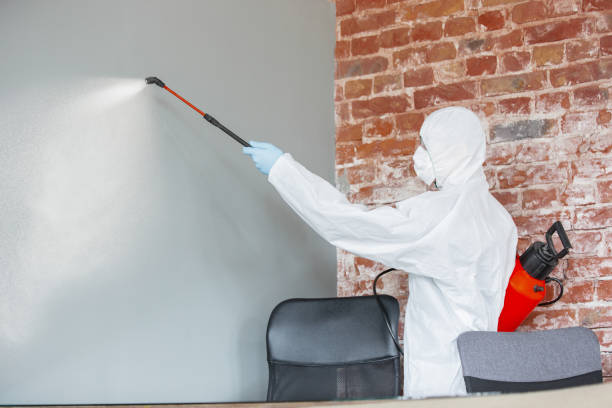 Best Biohazard Mold Removal  in Casas Adobes, AZ