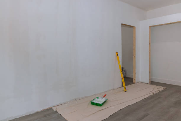 Best Black Mold Removal  in Casas Adobes, AZ