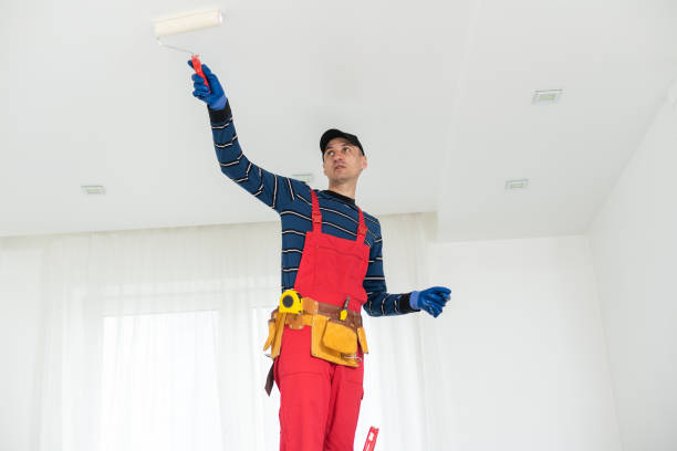 Casas Adobes, AZ Mold Removal Company